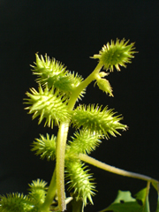 f0060312_22254341.jpg