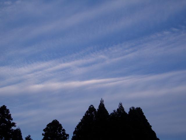 c0086014_6593038.jpg