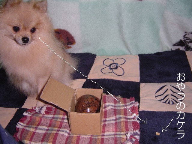 f0012924_5433537.jpg