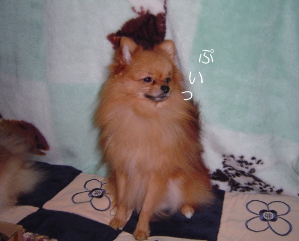 f0012924_5452083.jpg