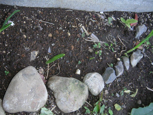 a0020929_16411047.jpg