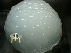 e0005548_22363021.jpg