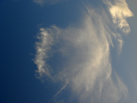 a0024250_015220.jpg