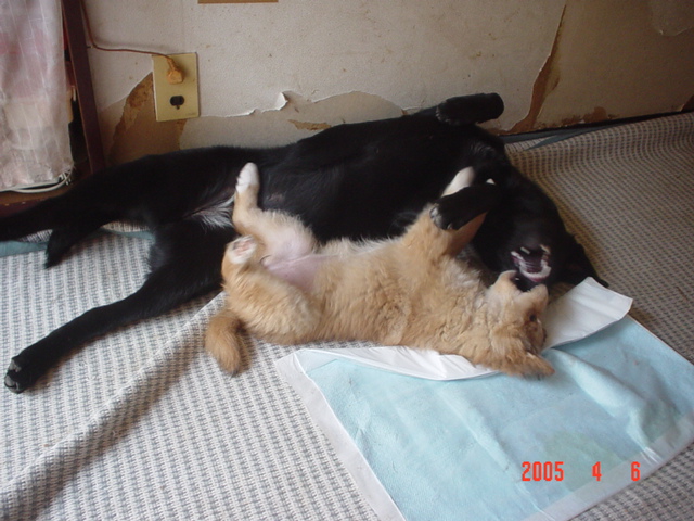 d0092650_011031.jpg