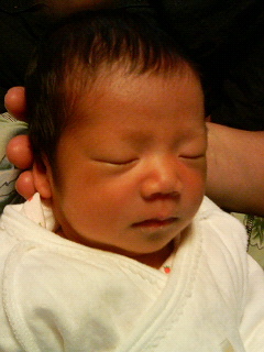a0023351_228341.jpg