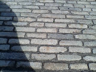 e0063653_16394025.jpg