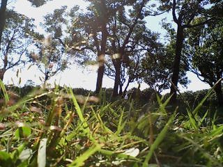 e0063653_16434071.jpg