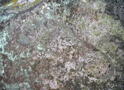 a0001354_20203026.jpg