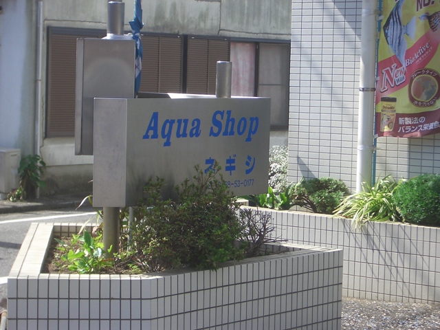 a0062959_91201.jpg