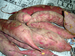 f0027762_22433654.jpg