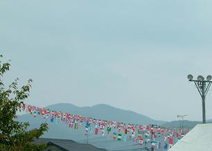 b0048766_746859.jpg