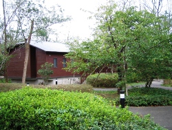 e0066369_0532338.jpg