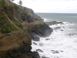 e0066369_19122.jpg
