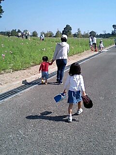 f0066076_4391880.jpg
