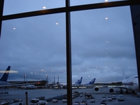 d0078978_3342052.jpg