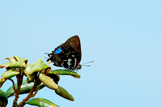 f0090680_2138320.jpg