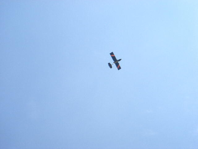a0028482_115151.jpg