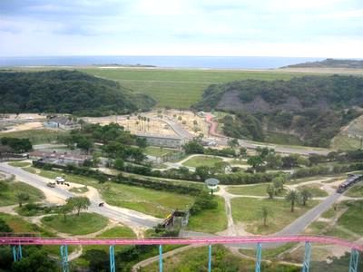 d0076783_224891.jpg