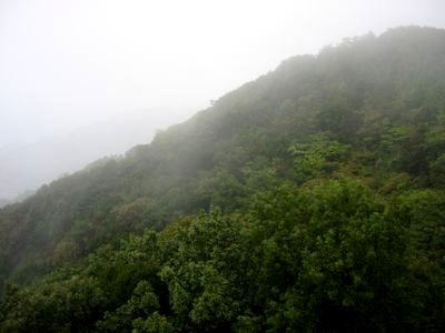 d0076783_2311870.jpg