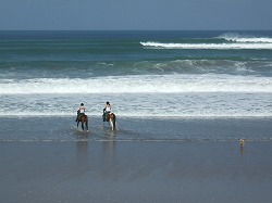 b0101284_154261.jpg