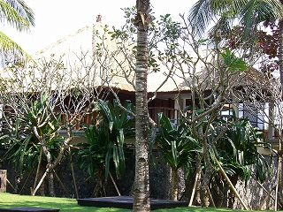 b0101284_175932.jpg