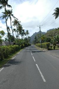 f0086492_02451.jpg