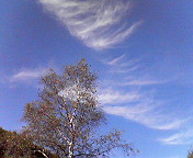 d0021996_10271484.jpg