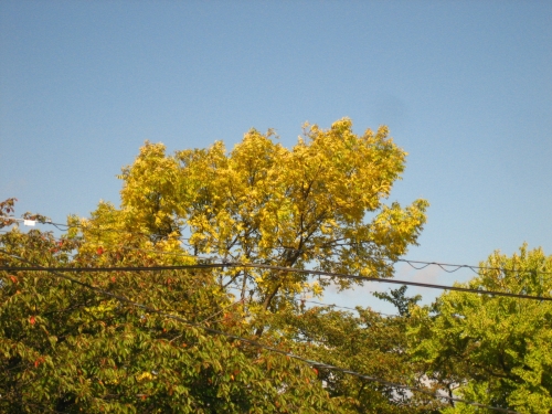 d0021097_2135859.jpg