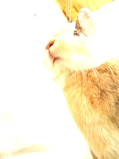 b0030701_1602254.jpg