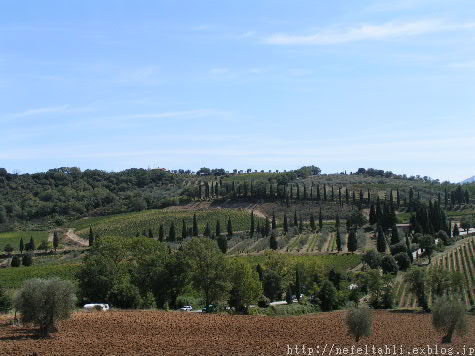 d0085703_11531785.jpg