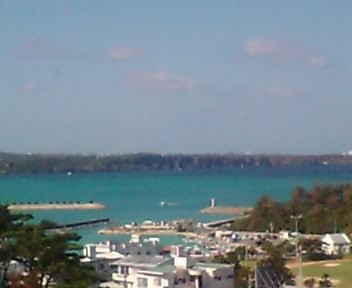 a0078907_19181231.jpg