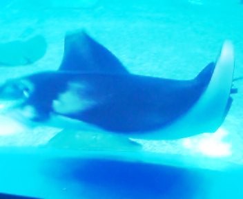 a0078907_19491337.jpg