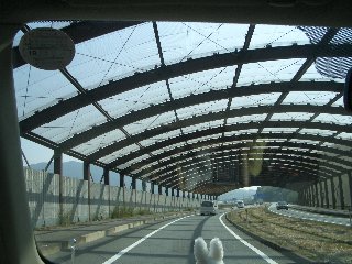 b0061107_23192126.jpg
