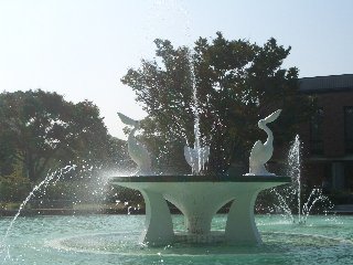 b0061107_23195987.jpg