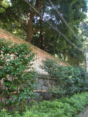 e0083212_20523598.jpg