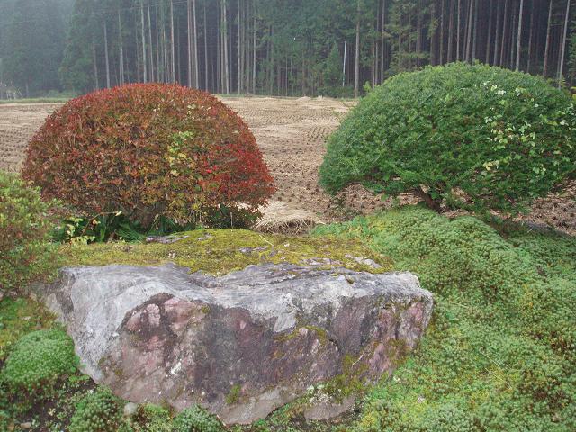 c0086014_6443830.jpg