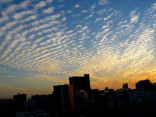 f0000521_1852593.jpg