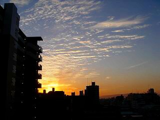 f0000521_1857887.jpg
