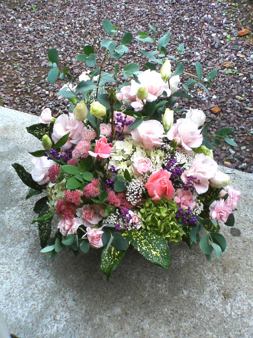 e0080524_8401311.jpg