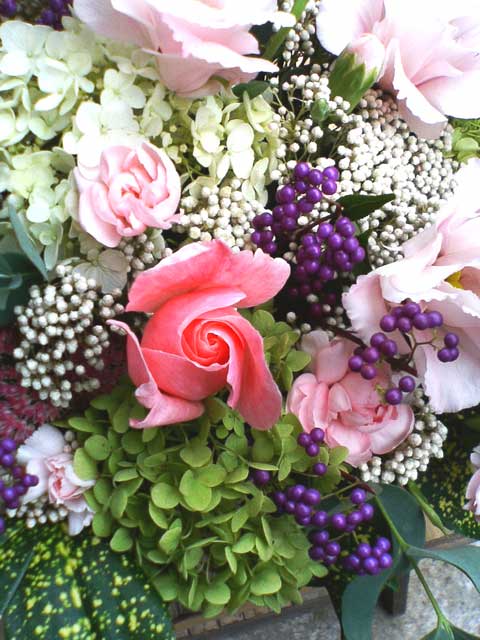 e0080524_8421093.jpg