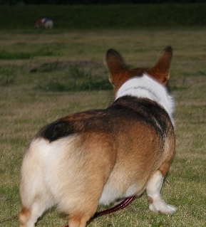e0071225_225452.jpg