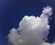 b0044726_914463.jpg