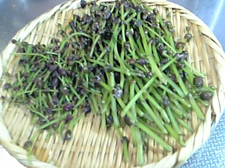 f0083726_16501646.jpg
