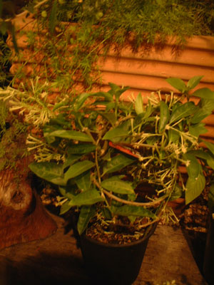 e0087827_19271150.jpg