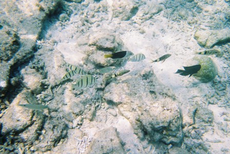 f0032534_12351094.jpg