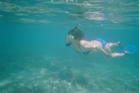 f0032534_12363687.jpg