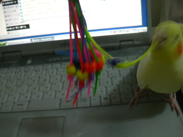d0039036_0253915.jpg
