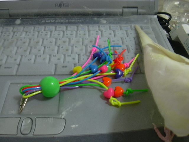 d0039036_0262095.jpg