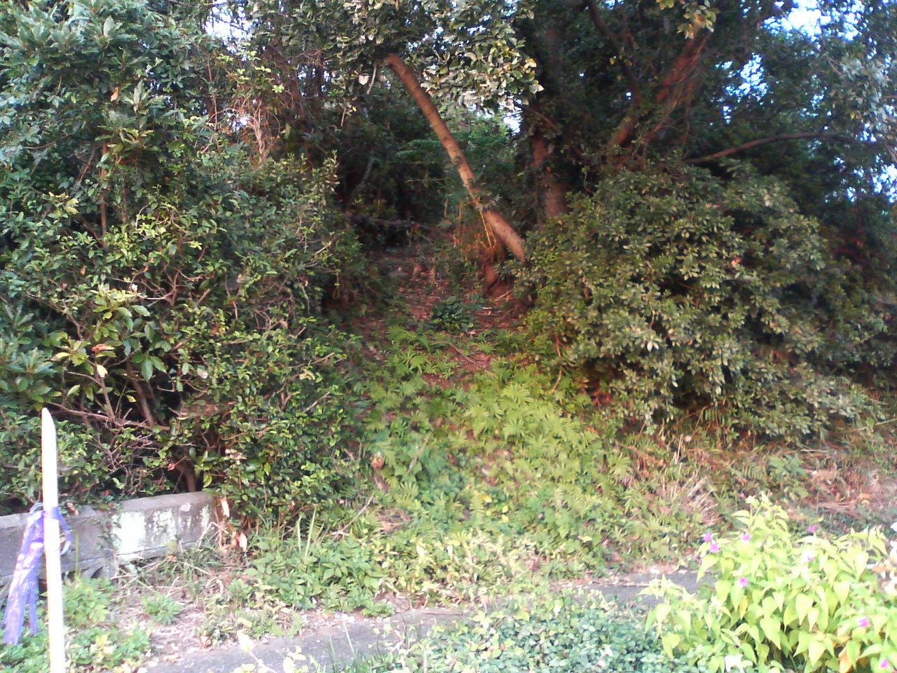 a0074938_19153542.jpg