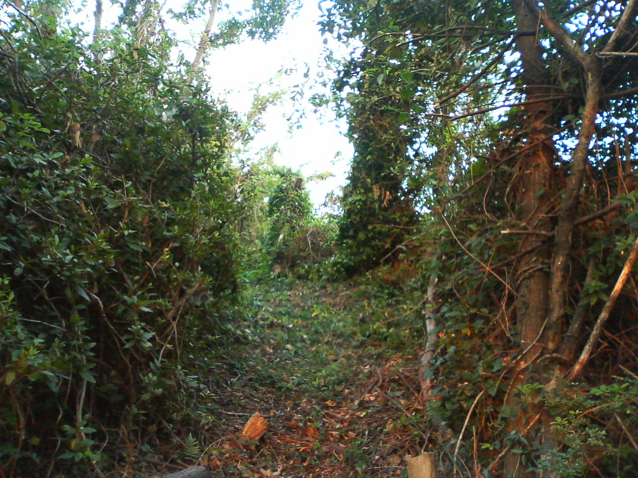 a0074938_1916450.jpg